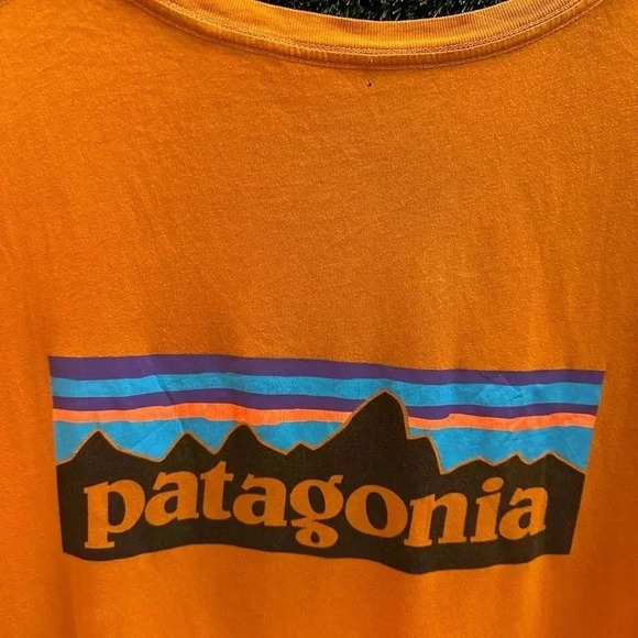Patagonia  Logo T-shirt Size XXL - Picture 5 of 6
